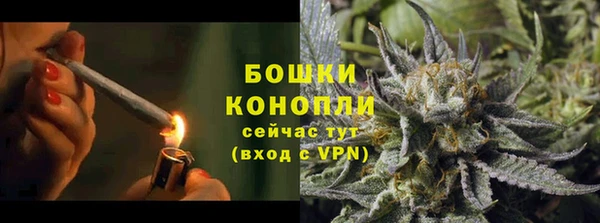 стафф Медногорск