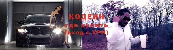 крисы Мегион