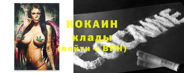 крисы Мегион
