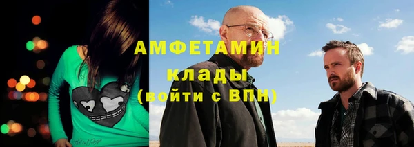 крисы Мегион
