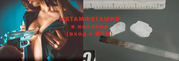 крисы Мегион