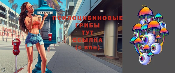 стафф Медногорск