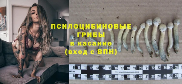 стафф Медногорск