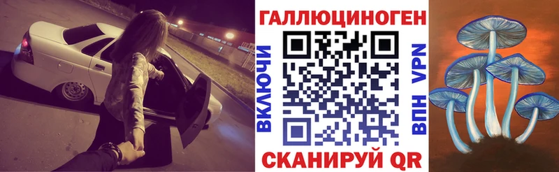 как найти закладки Кедровый Галлюциногенные грибы мицелий
