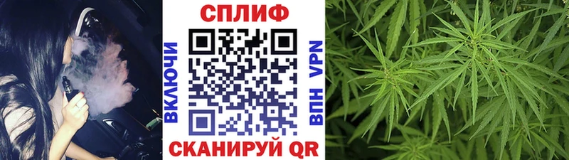 Марихуана индика дарк нет телеграм Кедровый